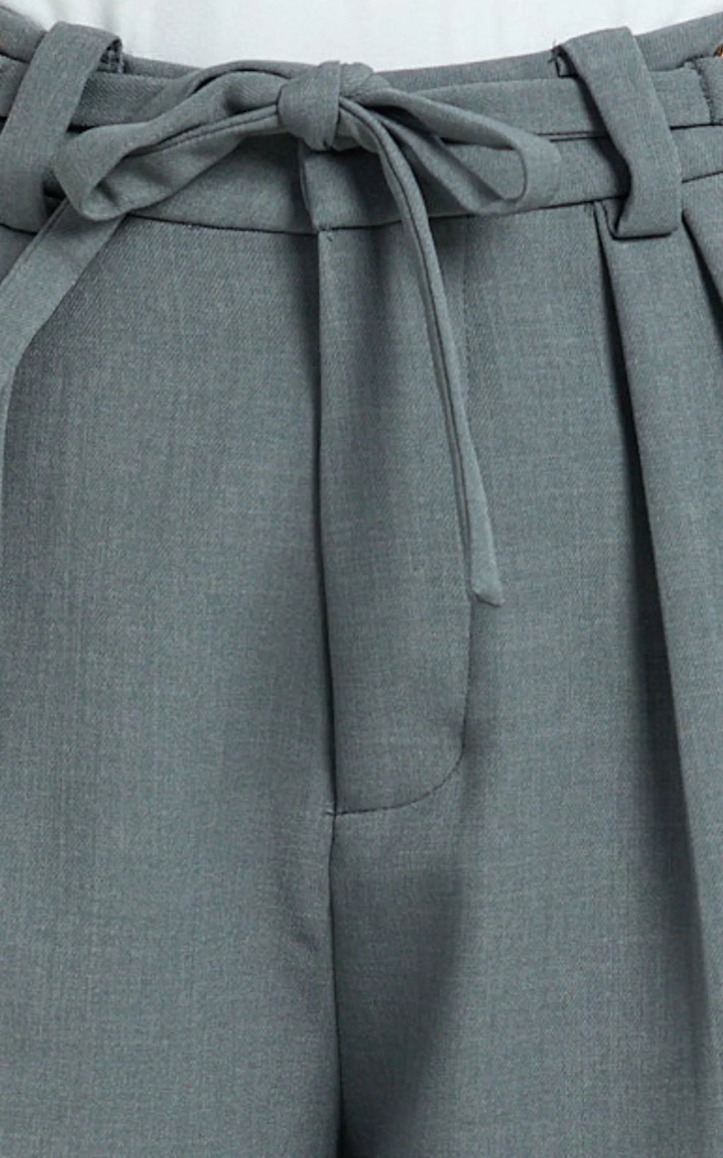 Frankie Pants - Low Rise Pleated Wide Leg Pant with Hardware Buckle in Grey