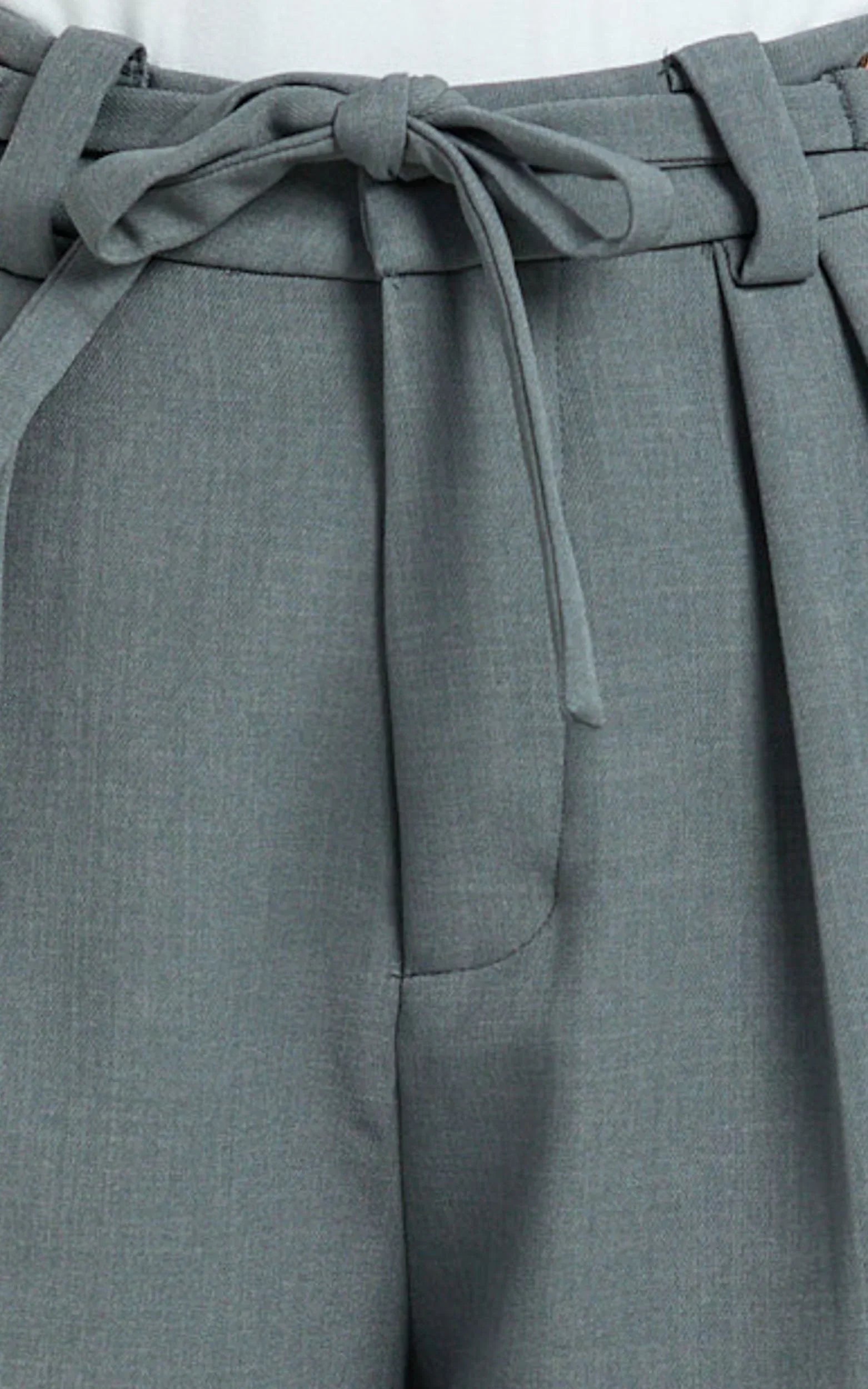 Frankie Pants - Low Rise Pleated Wide Leg Pant with Hardware Buckle in Grey