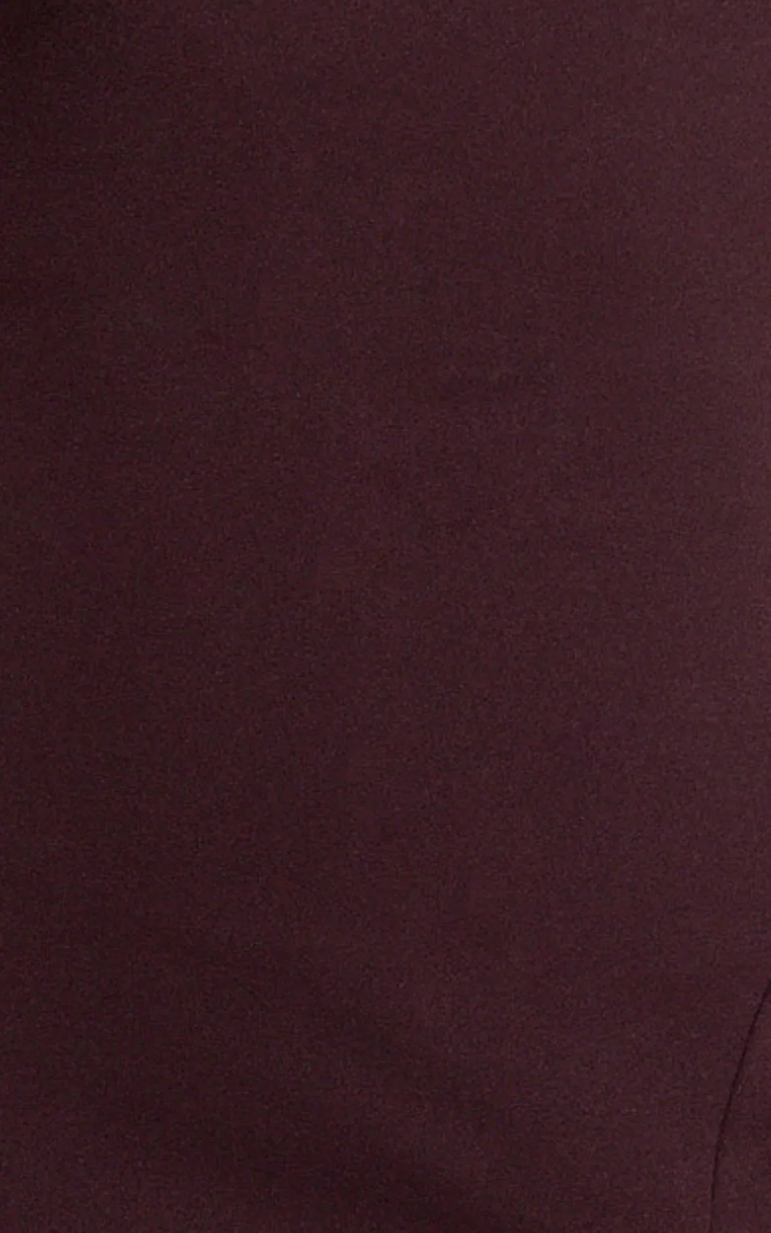 Raya Maxi Dress - Deep V Neck Low Back Bodycon Dress in Wine